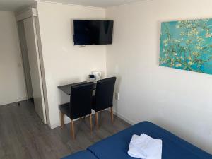TV a/nebo společenská místnost v ubytování Hotel 't Sonnehuys