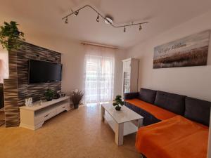 TV a/nebo společenská místnost v ubytování Apartman Joki