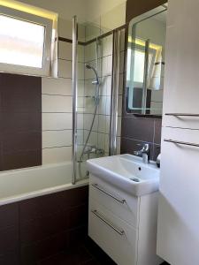 リプノ・ナト・ヴルタヴォウにあるPrázdninový Domek Kobylniceのバスルーム(シンク、シャワー、鏡付)