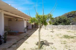 a small tree in front of a house at Stabilimento Lido Burrone in Favignana