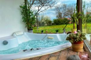 eine Badewanne mit blauem Wasser neben Pflanzen in der Unterkunft Carpital Residence - CLASSAPART in Siófok