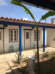 a house with a palm tree in front of it at Quintal do Maio in Vila do Maio