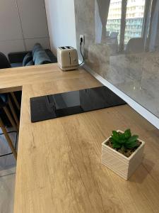 a plant sitting on a table next to a window at Mirage Sea Breeze Apartment in Mamaia +21 photos