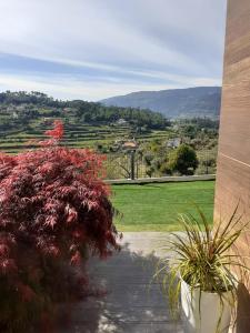 um quarto com vista para um campo e algumas plantas em Land'Him House em Ponte da Barca