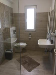 a bathroom with a toilet and a sink and a shower at Vila Emage in Moieciu de Sus +27 photos