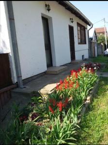 Afbeelding uit fotogalerij van Apartman Sissi in Pančevo +15 foto's