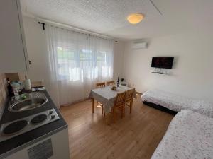 a kitchen and living room with a sink and a table at VIP Apartments & Room in Rakovica