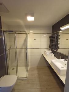 a bathroom with a shower and a sink at Apartament Tignes Czarna Góra in Sienna