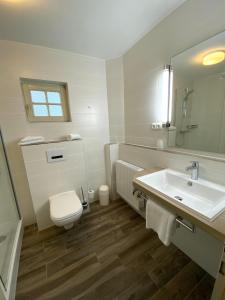 W łazience znajduje się umywalka, toaleta i lustro. w obiekcie Zur Rennbahn w mieście Drage