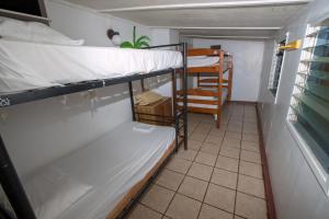 Palanda nebo palandy na pokoji v ubytování Backpackers Vacation Inn and Plantation Village