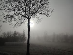 Foto dalla galleria di Relais de la poste rez-de-chaussée a Monclar-de-Quercy