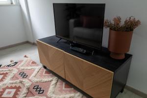uma televisão num armário com um vaso de plantas em Ajuda - Apartments em Lisboa