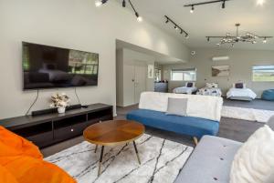 a living room with a blue couch and a tv at Paradise on Campbell in Martinborough