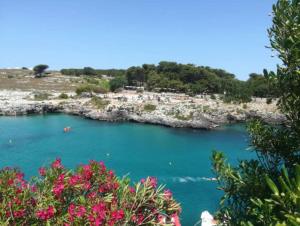 Φυσικό τοπίο κοντά σε αυτό το διαμέρισμα