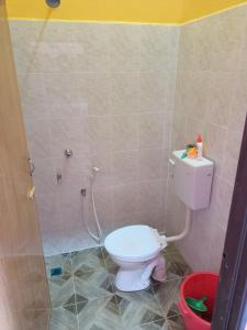 een kleine badkamer met een toilet en een douche bij Homestay Machang Sentral in Macang