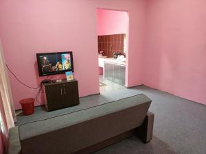 a living room with a tv on a pink wall at Homestay Machang Sentral in Machang