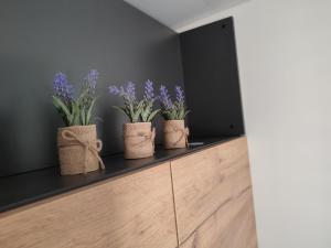 Fotografie z fotogalerie ubytování Mobile Home Limona v destinaci Biograd na Moru
