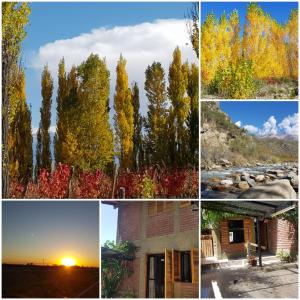 a collage of photos with trees in autumn at La casa de Chiqui in Mendoza