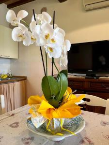 un vaso pieno di fiori bianchi su un tavolo di Agriturismo Mimosa a Rispescia