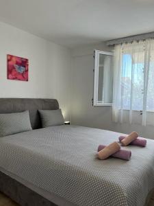 Gallery image of Apartment Amans 1 in Pula