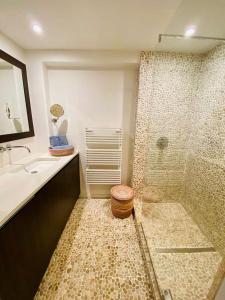 ein Bad mit einer Dusche und einem Waschbecken in der Unterkunft Julie’s Home in Knokke-Heist