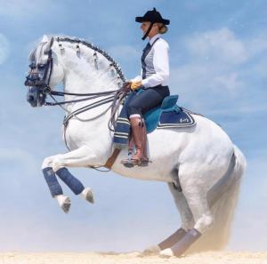 a woman riding a white horse on the beach at Linda‘s Ferien-Pferdehof in Sigmarszell