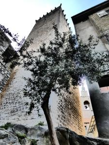 The building in which a panziókat is located