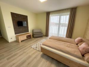 1 dormitorio con sofá, TV y silla en Apartmány Katalin en Dunajská Streda