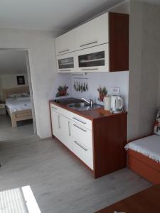 Kuchyň nebo kuchyňský kout v ubytování Apartments Vesna