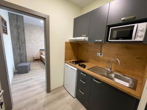 Kuchyňa alebo kuchynka v ubytovaní Apartmány Katalin