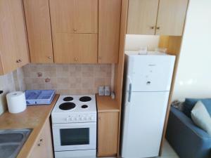 Kuchyň nebo kuchyňský kout v ubytování Holiday & Business Furnished Apartments