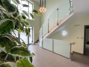 Fotografia z galérie ubytovania Apartmány Katalin v Dunajskej Strede