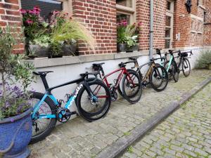 Катание на велосипеде по территории Flandrien Hotel или окрестностям