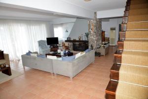 a living room with a couch and a tv at VILA AMALIA in Theologos