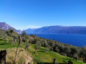 a view of a lake from a hill with trees at Cà del borgo Historic Village in Toscolano Maderno