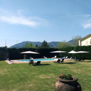 a swimming pool with chairs and umbrellas in a yard at B&B Il Casale di Nanni in Lucca