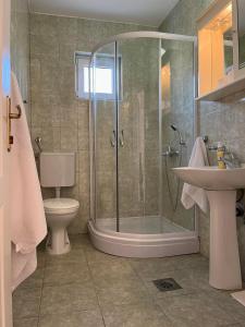 y baño con ducha, aseo y lavamanos. en Apartments and Room MV, en Petrovac na Moru