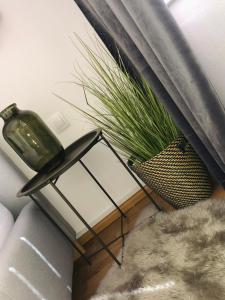 Fotografia z galérie ubytovania Apartmán Lara v Komárne