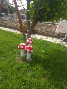 two mushrooms in the grass next to a tree at Simos Apartments in Korinós