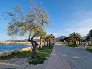 a tree on a sidewalk next to the water at Résidence Les Mers du Sud Port Argelès in Argelès-sur-Mer