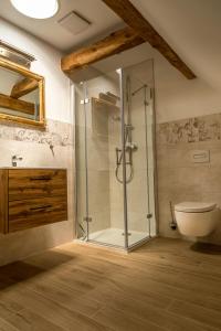 ein Bad mit einer Dusche und einem WC in der Unterkunft Lübbenauer Spreewaldnest in Lübbenau