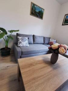 a living room with a blue couch and a coffee table at Šimun in Karlovac