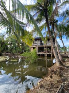 een resort met palmbomen voor een waterlichaam bij Beach House and Attic in Mahuyabhuyab