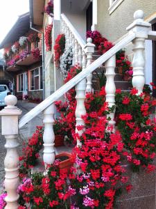 a bunch of flowers on the stairs of a house at Cazare Nely in Novaci-Străini