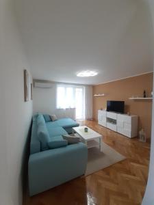 Μια τηλεόραση ή/και κέντρο ψυχαγωγίας στο Apartman Jovana