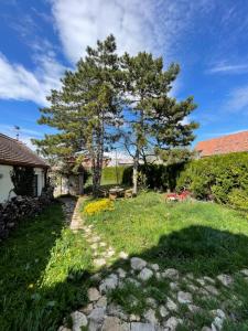 a garden with a tree and a grass field at Gartenapartment Storchenblick in Weiden am See
