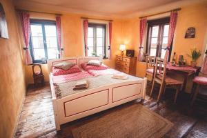 捷克克魯姆洛夫的住宿－佩西恩賽特卡卡酒店，卧室配有一张床和一张桌子及椅子