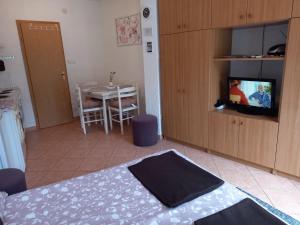 TV a/nebo společenská místnost v ubytování Studio Ana
