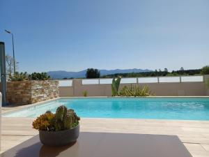 une grande piscine avec une plante en pot à côté de celle-ci dans l'établissement RUE DU BAC, à Villeneuve-de-la-Raho