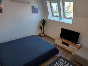 TV o dispositivi per l'intrattenimento presso Szellőrózsa Apartman